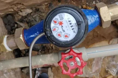 遠傳水表廠家價格區(qū)間，更好了解市場行情！